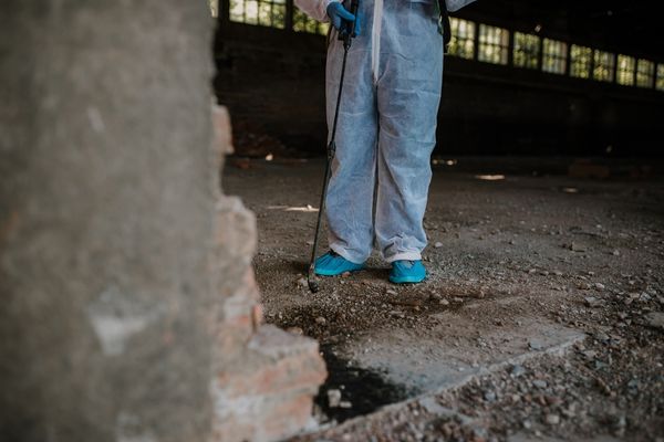 הדברה לאחר שיפוץ